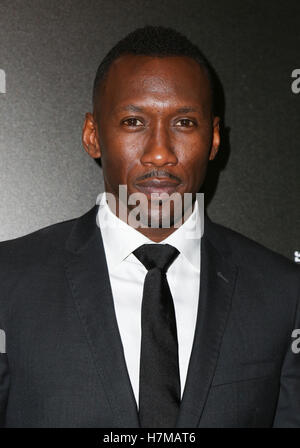 Los Angeles, CA, USA. 06 Nov, 2016. Mahershala Ali arrive à la 9e Hamilton Behind the Camera Awards à la Bourse le 6 novembre 2016 à Los Angeles, Californie. ( Crédit : Parisa Afsahi/Media Punch)./Alamy Live News Banque D'Images
