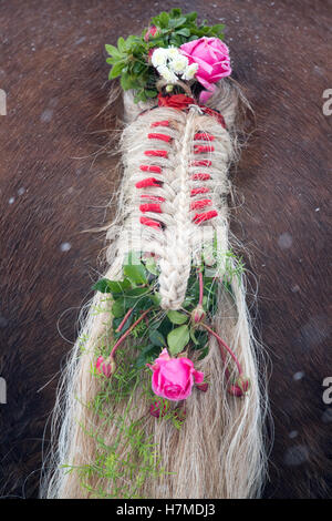 Une couronne de cheval richement décorées avec des fleurs peut être vu à la traditionnelle procession dans Leonhardifahrt une prairie au Calvaire hill dans Bad Toelz, Allemagne, 07 Novmeber 2016. La procession en l'honneur de St Leonhard est reportée lorsque le 6 novembre tombe un dimanche. Les magnifiques calèches sont tirées à travers l'Isar ville lundi. Photo : PETER KNEFFEL/dpa Banque D'Images