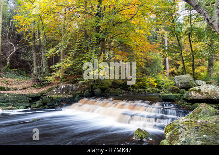 Chutes d’eau. Banque D'Images