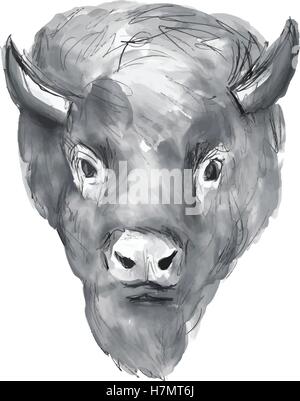 Illustration de style aquarelle d'un bison d'Amérique buffalo bull head face à l'avant fixé sur un fond blanc. Illustration de Vecteur