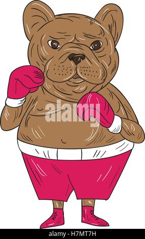 Illustration d'un bouledogue français boxer dans une position de boxe vue de l'avant ensemble isolées sur fond blanc fait dans un style de dessin animé. Illustration de Vecteur