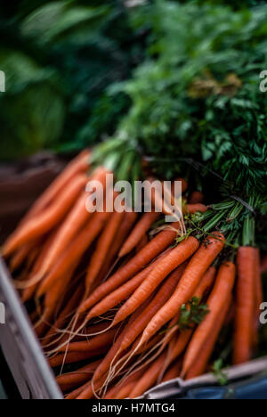 Botte de carottes biologiques en vente sur un marché de producteurs dans le sud de Londres Banque D'Images