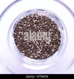 Les carrés de graines de chia bio shot dans un plat en verre avec une lumière vive pour donner une teinte bleue pour le fond blanc, Banque D'Images