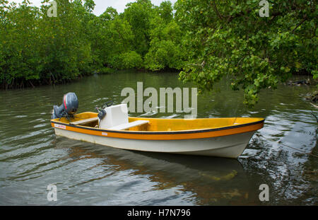 Pohnpei Micronésie bateaux sur l'eau à domicile local utilisé pour la pêche Banque D'Images