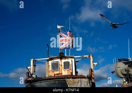 Une mouette se repose sur un mât battant pavillon de l'Union européenne, sur un bateau sur la plage à Hastings, en Grande-Bretagne le 6 novembre 2016. © John Voos Banque D'Images