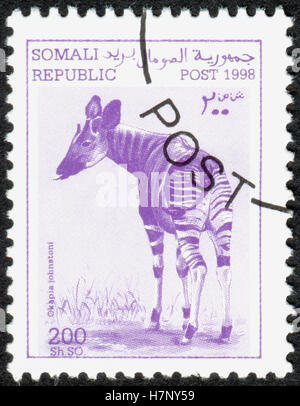 Somalie - circa 1998 : timbre imprimé en Somalie, indique l'Okapi (Okapia johnstoni animal), vers 1998 Banque D'Images