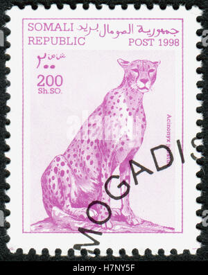 Somalie - circa 1998 : timbre imprimé en Somalie, montre l'animal Guépard (Acinonyx jubatus), vers 1998 Banque D'Images