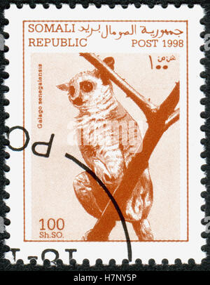 Somalie - circa 1998 : timbre imprimé en Somalie, montre l'animal (bushbaby Sénégal Galago senegalensis), vers 1998 Banque D'Images