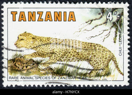 Un timbre imprimé en Tanzanie, dédié aux espèces rares de Zanzibar, montre un Léopard (Panthera pardus) Banque D'Images