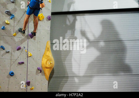 L'homme avec des cordes d'Escalade sur mur d'escalade Banque D'Images