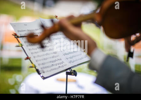 Violoniste mâle jouant son instrument et la lecture d'une feuille de musique pendant une cérémonie de mariage en plein air (shallow DOF ; couleur à Banque D'Images