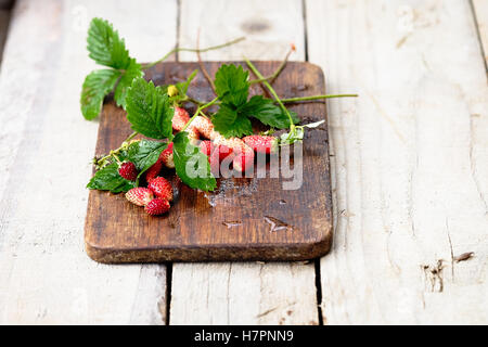Bouquet de fraises sauvages rouge avec des feuilles vertes sur un fond de bois. Banque D'Images