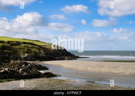 Nevern River ou d'Afon Nyfer estuaire dans le Parc National de Pembrokeshire Coast, à marée basse. Parrog, Newport, Pembrokeshire, Pays de Galles, Royaume-Uni Banque D'Images