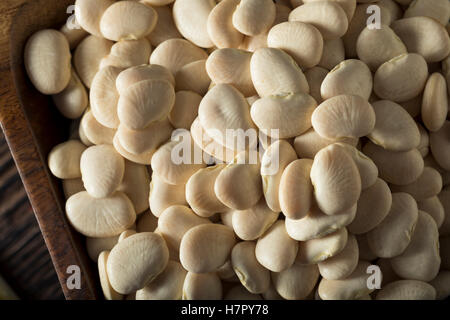 Blanc de chaux séchée bio pour bébé Haricots prête pour la cuisson Banque D'Images