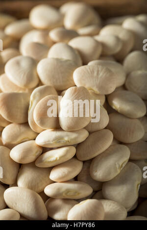 Blanc de chaux séchée bio pour bébé Haricots prête pour la cuisson Banque D'Images