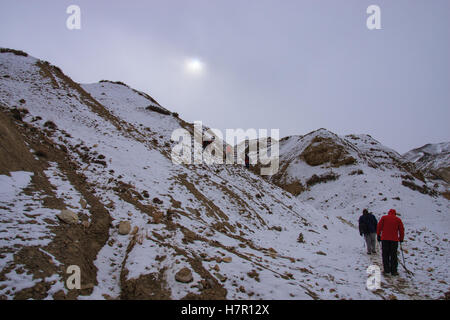 Le Ladakh Randonnée d'hiver Banque D'Images