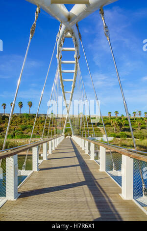 La Harpe (Nevel) Pont de la rivière, à Hadera Hadera (Nahal) Park, dans le Nord d'Israël Banque D'Images