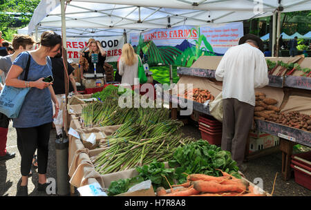 Samedi Marché de producteurs au printemps, Portland State University, Portland, OR, USA Banque D'Images