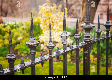 Image de cast iron fence en parc. Banque D'Images