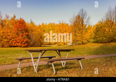 Droit de banc de parc en automne charmant. Banque D'Images