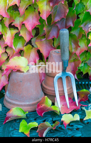 Truelle de jardin et la fourche avec des feuilles de vigne vierge Parthenocissus quinquefolia Banque D'Images