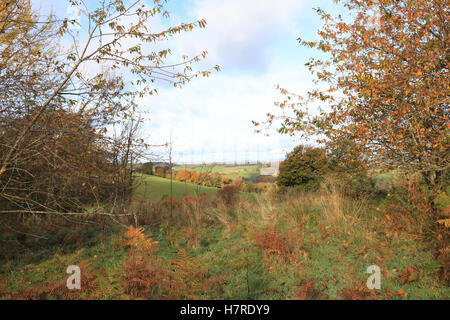 Vue d'automne à partir de Y à Frochas vers Meifod, près de Welshpool, au Pays de Galles Banque D'Images