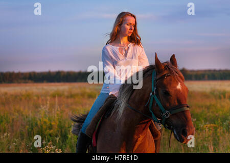 Beau cavalier dans un champ au coucher du soleil Banque D'Images
