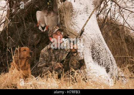 La chasse au sol chasseur avec Yellow Rusty Lab Banque D'Images