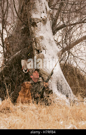 La chasse au sol chasseur avec Yellow Rusty Lab Banque D'Images