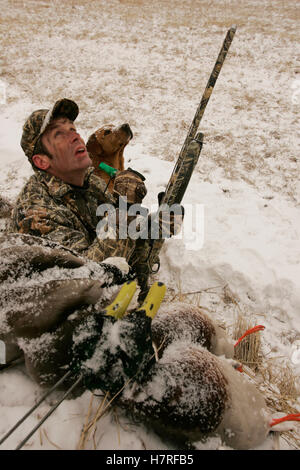 La chasse au sol chasseur avec Yellow Rusty Lab Banque D'Images