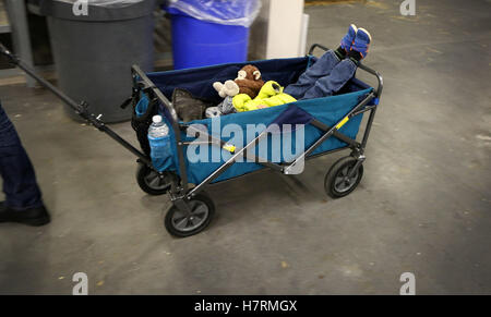 Toronto, Ontario, Canada. Nov 6, 2016. Un garçon pan dans un wagon au cours d'une visite à la Royal Agricultural Winter Fair de Toronto, Ontario le dimanche, Novembre 6, 2016. Le Royal dispose de plus de 2 000 concours agricoles avec plus de 5 000 animaux, fromages artisanaux, vins de l'Ontario, et de légumes géants. Crédit : Peter Power/ZUMA/Alamy Fil Live News Banque D'Images