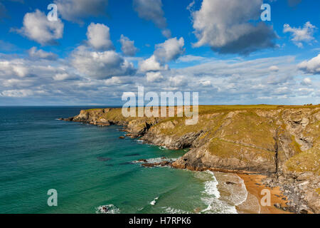 Bedruthan steps, St Eval, Cornwall. 7e novembre 2016. Chef de parc en pèlerin lumière glorieuse avant la forte pluie arrive à Cornwall. La pluie torrentielle prévision pour la fin de soirée et demain. Credit : Barry Bateman / Alamy Live News Banque D'Images