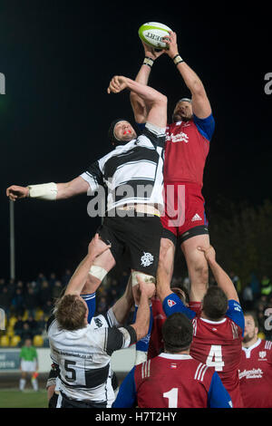 Prague, République tchèque. Nov 8, 2016. Une exposition rugby match République tchèque contre FC barbares, joué à Prague, en République tchèque, le Mardi, Novembre 8, 2016. Credit : Michal Kamaryt/CTK Photo/Alamy Live News Banque D'Images