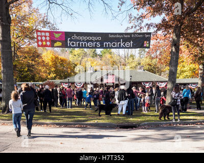 Chappaqua, NY, USA - 8 novembre 2016. Les foules se rassemblent dans candidate présidentielle Secrétaire d'État américaine Hillary Clinton's Accueil ville de Chappaqua, New York en prévision d'un tailleur-pantalon jusqu'flash mob à la gare Chappaqua le jour de l'élection. Credit : Marianne A. Campolongo/Alamy Live News Banque D'Images