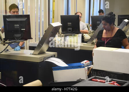 San Jose, Californie, USA. Nov 8, 2016. Les bulletins sont comptés au Santa Clara County d'enregistrement des électeurs. Credit : Eaux Neal/ZUMA/Alamy Fil Live News Banque D'Images