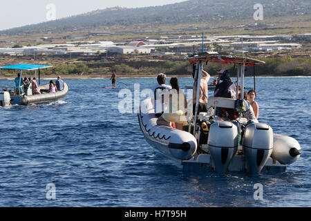 Des dauphins et des baleines bateaux de touristes et un stand-up paddleboarder au large de la côte de Kona Banque D'Images