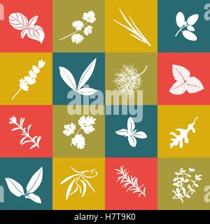 Les herbes hand drawn vector icône carré grand ensemble. Herbes culinaires populaires. Basilic, coriandre, roquette, marjolaine, menthe, feuilles de laurier, sav Illustration de Vecteur