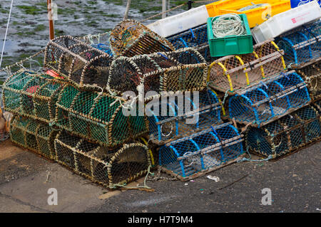 Ecosse - Crail, Fife, village de pêcheurs. La pêche au homard et crabe pots et des cordes. Banque D'Images