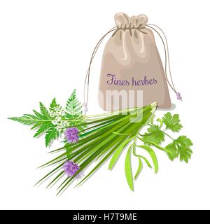 Illustration vecteur de cardamome. Assaisonnement culinaire. La cuisine d'épices. Grains de cardamome. Cardamone. Le vert et le brun. Cardamum h naturel. Illustration de Vecteur