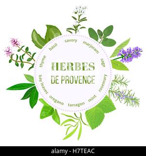 Herbes de provence emblème ronde Illustration de Vecteur