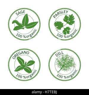 Ensemble d'étiquettes d'herbes. 100  % bio. Verdure collection. Vector illustration. Persil, aneth origan sauge Illustration de Vecteur