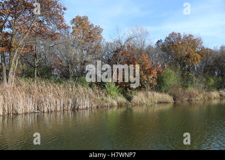 L'automne à Herrick Lake Banque D'Images