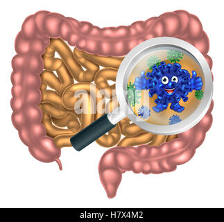 Loupe centrée sur le système digestif, l'appareil digestif ou canal alimentaire montrant un bon probiotique bacte heureux Banque D'Images