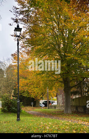 Royaume-uni, Angleterre, West Wycombe, Buckinghamshire, Church Lane, hêtres automne et lampe de rue à côté road Banque D'Images