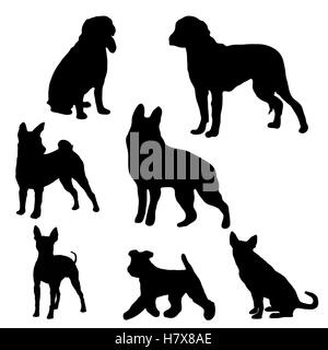 Collection de silhouettes de chiens Banque D'Images