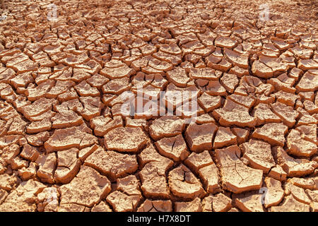 Terre desséchée.Terrain avec sol fissuré à sec sans eau. Banque D'Images