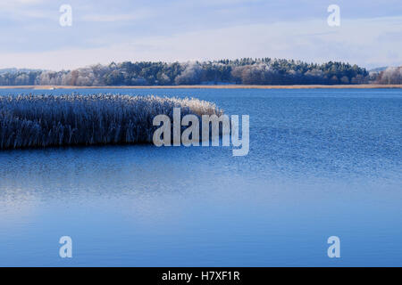 Belle mer calme avec frosty roseaux. Bateau à moteur sur l'arrière-plan. Lieu : Sauvo, Finlande. Banque D'Images