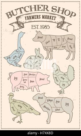 Couper la viande en régime de coupe guide schéma de style vintage. L'élément graphique illustration de craie pour menu, bannière. Steak de porc vache chick Illustration de Vecteur