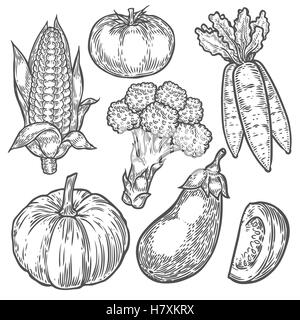 Farmers Market badge. Gravure monochrome vintage des légumes bio, de blé et de fruits signer isolé sur blanc. Vecteur croquis ha Illustration de Vecteur