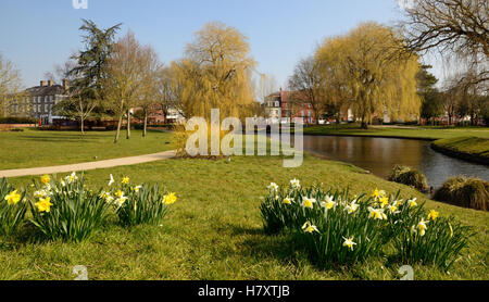 Un canal de la rivière Avon qui coule à travers les jardins de la Reine Elizabeth à Salisbury. Banque D'Images